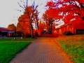 Fotografie24