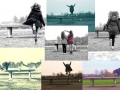 Fotografie38