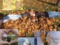 Fotografie - 16