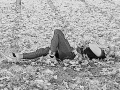 Fotografie - 9