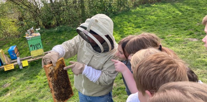 Wildbienenhelfer an der IGS Helpsen